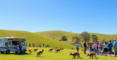 Booming Aussie businesses, top opportunities