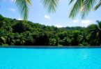 Serene infinity pool overlooking lush Balinese jungle.