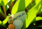 Australian coins near a flourishing plant.