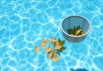 Pool skimmer collecting leaves in a sparkling Aussie pool.