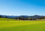 Blue Mountains Football Club grounds with players on field.
