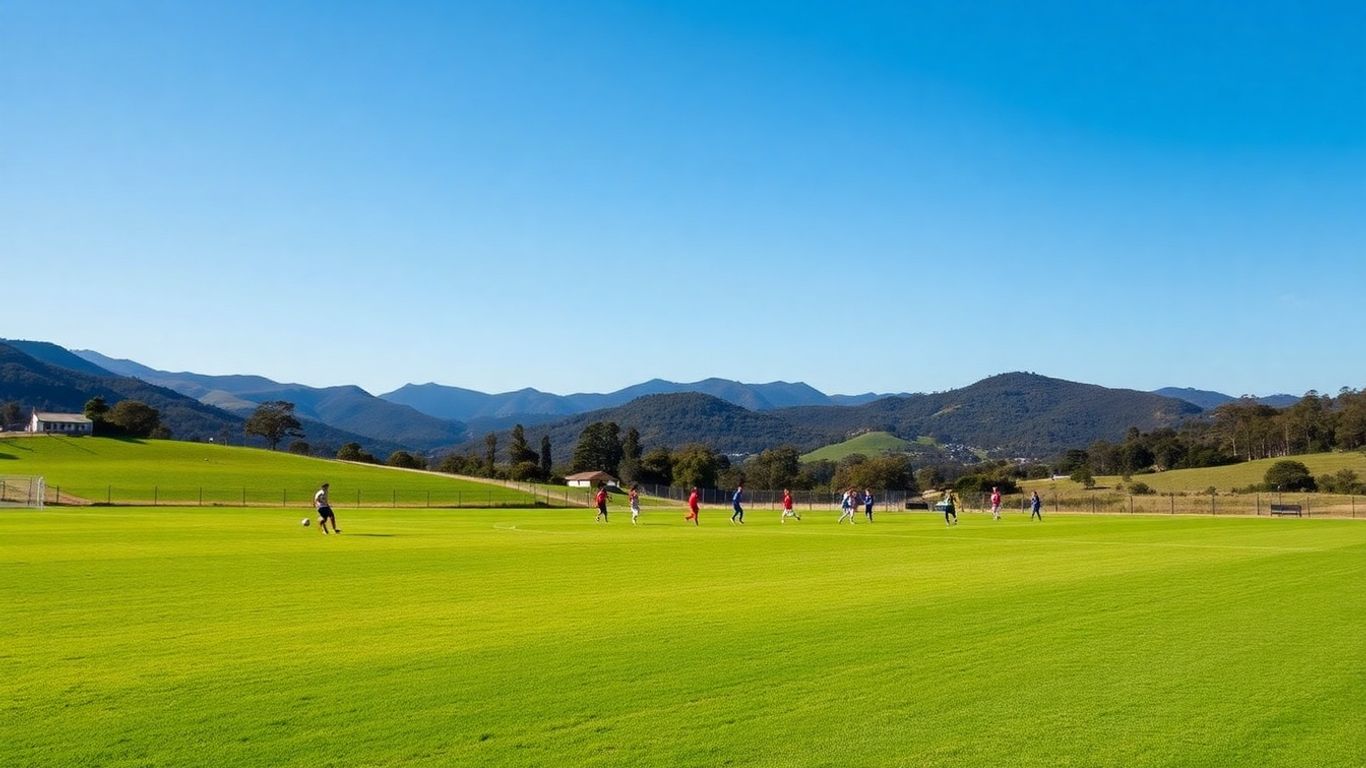 Blue Mountains Football Club grounds with players on field.