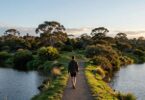 Person walking on path, Australian sunrise, healing journey.