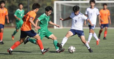 Ringwood Soccer Club players in action on a green field.