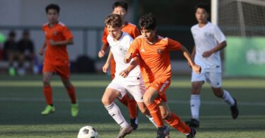 Soccer players in action on a green field.