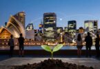 Australian startup landscape with city skyline and seedling.