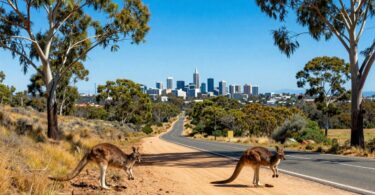 Iconic Australian landmarks and wildlife under a sunny sky.