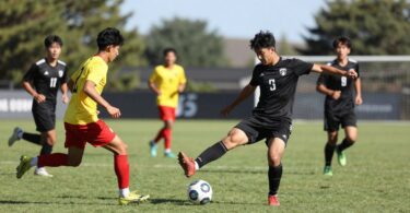 Soccer players in action on a green field.