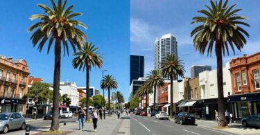 Perth skyline versus London street scene comparison.