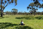 Person meditating in Australian nature, healing.