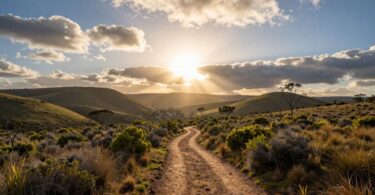 Australian landscape with path and sunlight.