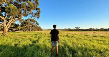 Australian landscape with person looking towards opportunity.