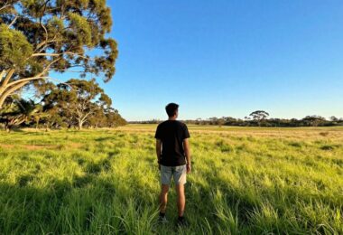 Australian landscape with person looking towards opportunity.