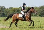 Young rider on pony at Lithgow Pony Club