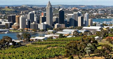 South Australian business landscape: vineyards, city, harbor, industry.