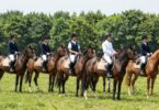 Young riders and horses in an outdoor arena.