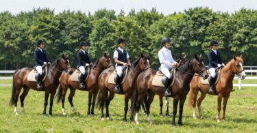 Young riders and horses in an outdoor arena.