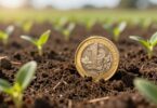Australian coins growing from fertile ground.
